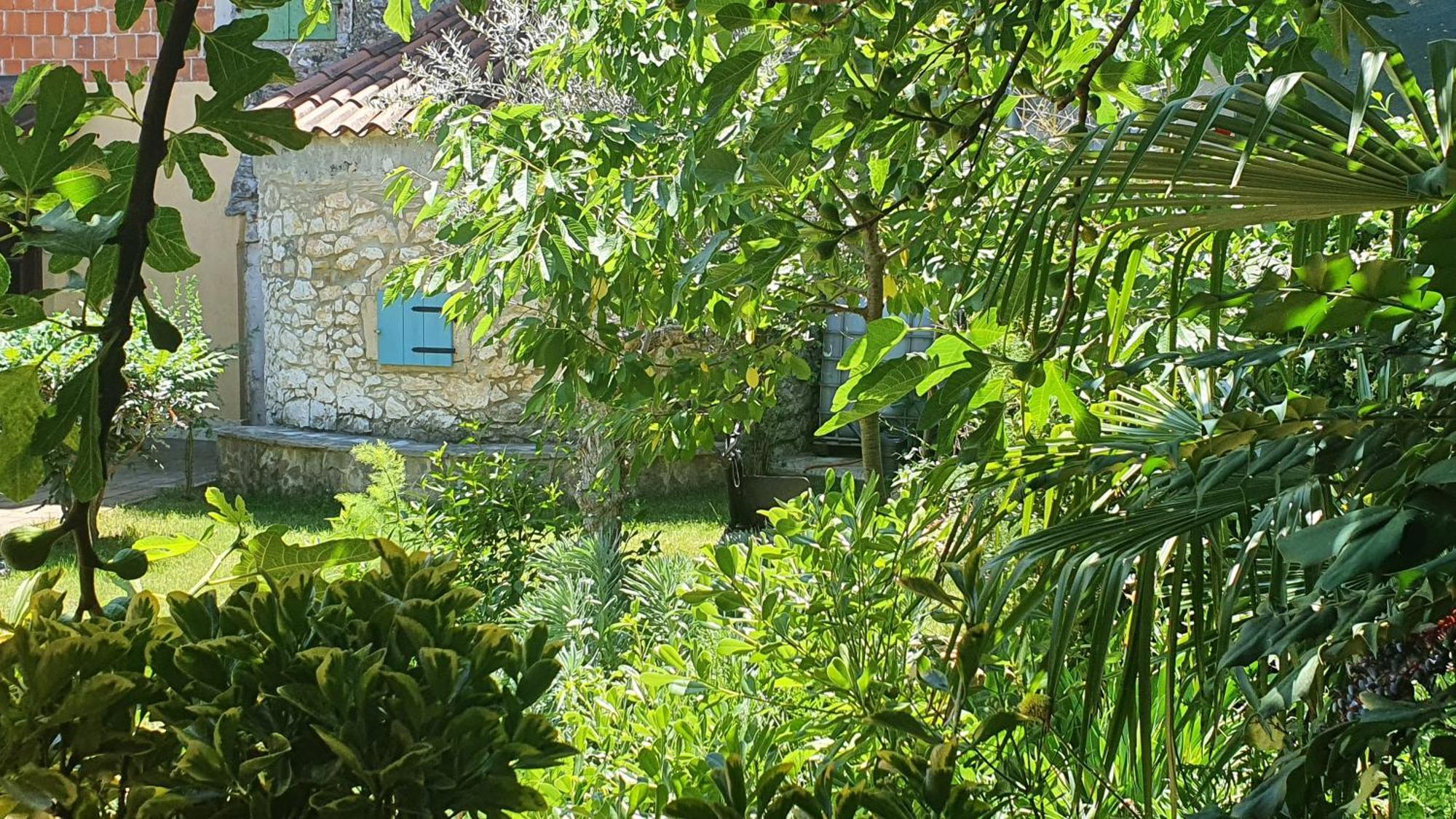 Villa Kazun Marčana Dış mekan fotoğraf